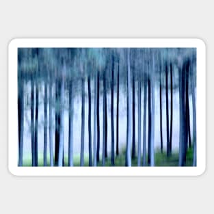 Tall Trees Sticker